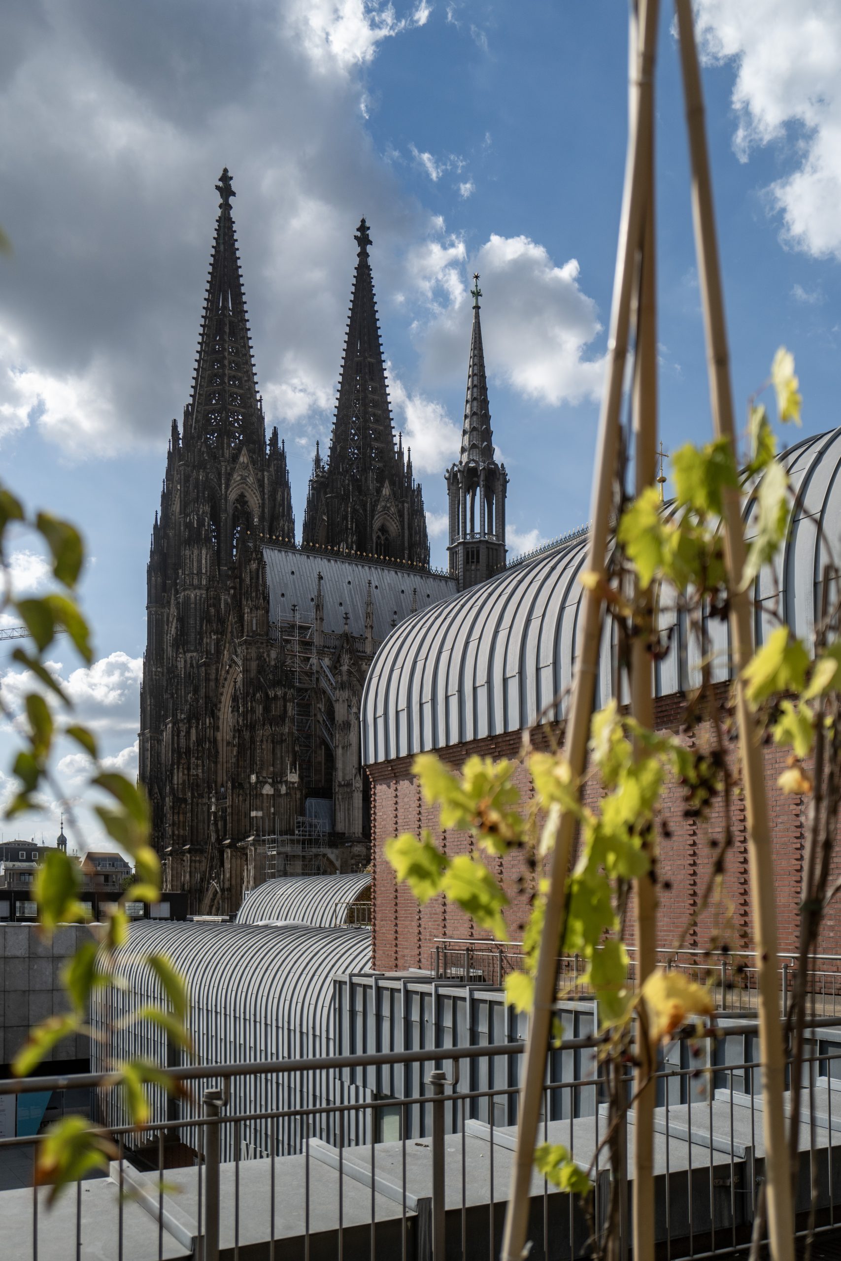 Museum Ludwig