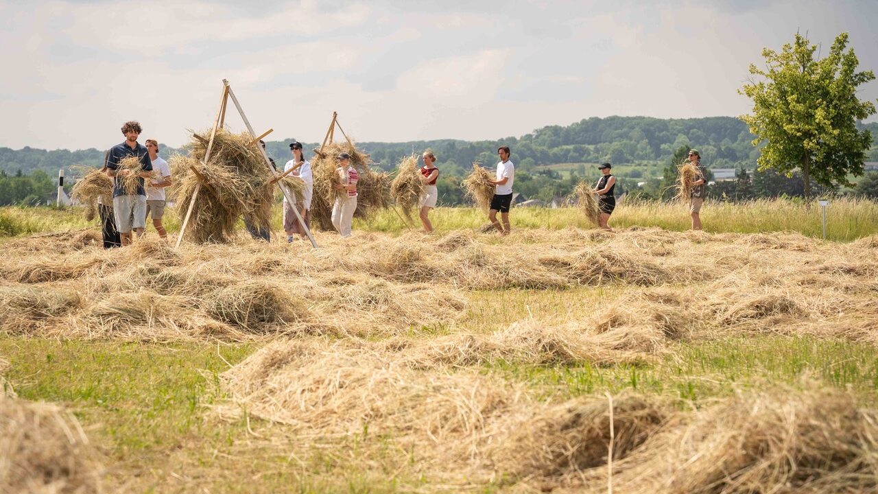 Teilnehmende eines Workshops bewegen sich auf einem Feld mit Heu in den H&auml;nden.